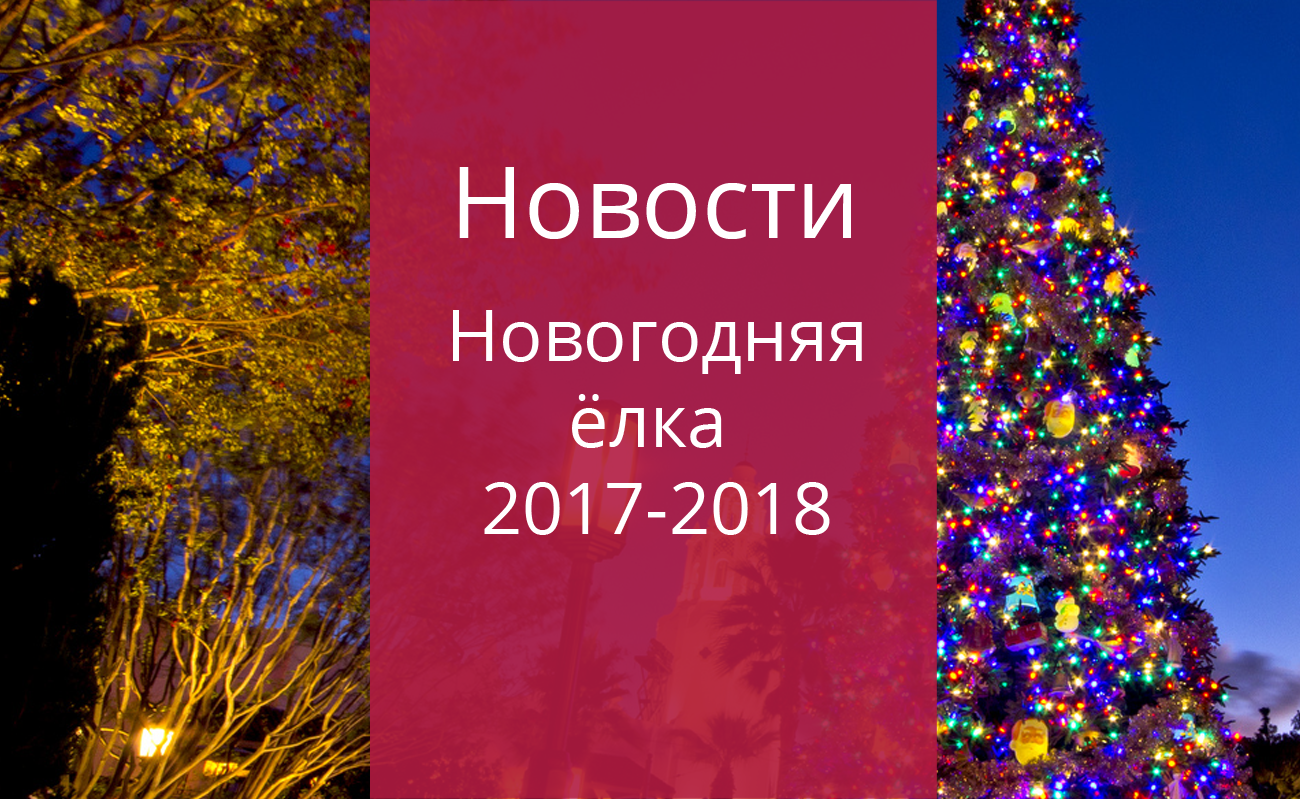 Новогодняя ёлка 2017-2018 — Дом ученых им. М. Горького